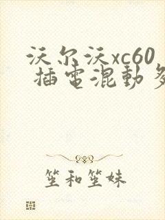 沃尔沃xc60 插电混动多少钱一辆