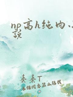 np高h纯肉小说 np高h纯肉小说