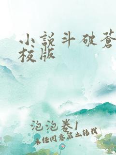 小说斗破苍穹精校版