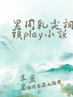 男同乳尖调教奶头play小说