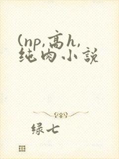 (np,高h,纯肉小说 (np,高h,纯肉小说