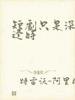 短剧只是深情不逢时