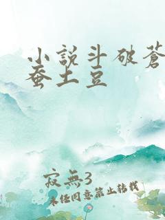 小说斗破苍穹天蚕土豆