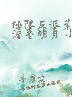 极限反派叶玄,澹台明月 小说