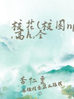 校花(校园np,高h,全