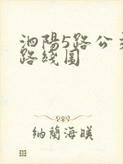 泗阳5路公交车路线图