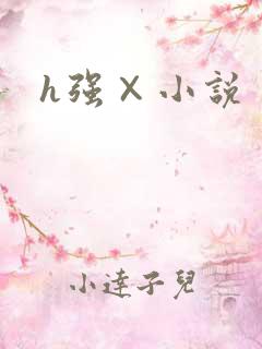 h强×小说