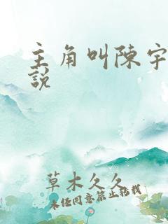 主角叫陈宇的小说