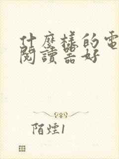 什么样的电子书阅读器好