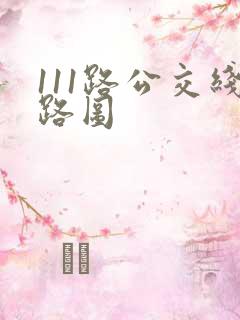 111路公交线路图