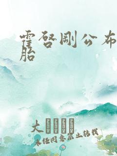 霍启刚公布龙凤胎 霍启刚公布龙凤胎