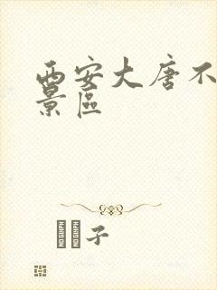 西安大唐不夜城景区 西安大唐不夜城景区