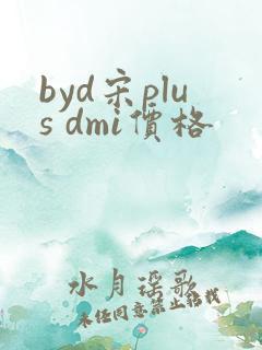 byd宋plus dmi价格