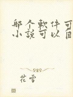 哪个软件可以写小说可以自己发布
