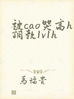 被cao哭高h调教1v1h
