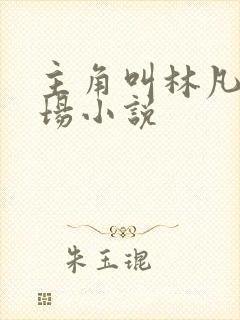 主角叫林凡的官场小说