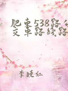 肥东538路公交车路线路线