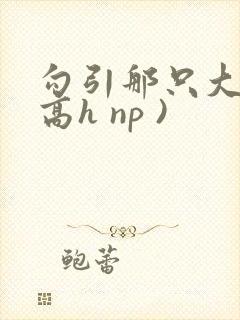 勾引那只大鸟(高h np )