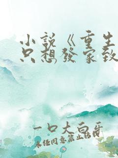 小说《重生后我只想发家致富》
