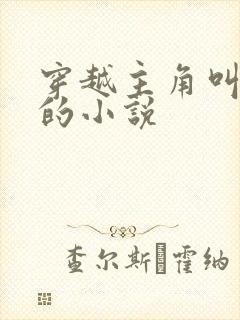 穿越主角叫李辰的小说