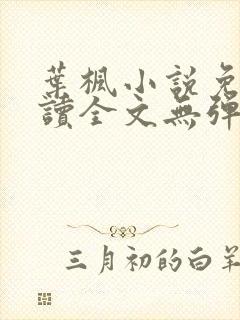 叶枫小说免费阅读全文无弹窗最新