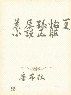 叶辰孙怡夏若雪小说正版