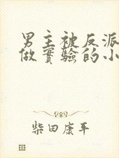 男主被反派囚禁做实验的小说