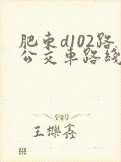 肥东d102路公交车路线时间表