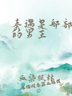 秦遇是哪部小说的男主