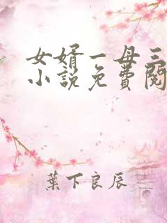 女婿一母三女的小说免费阅读