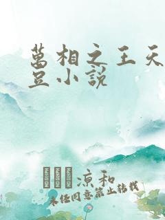 万相之王天蚕土豆小说