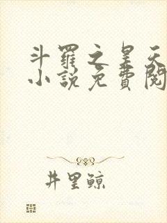 斗罗之昊天神话小说免费阅读
