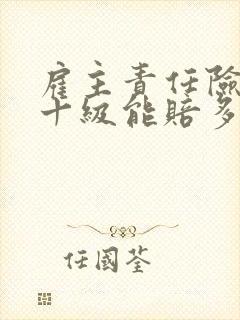 雇主责任险工伤十级能赔多少钱
