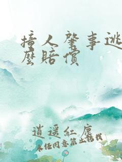 撞人肇事逃逸怎么赔偿