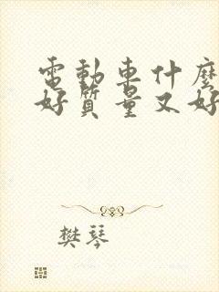 电动车什么品牌好质量又好性价比高