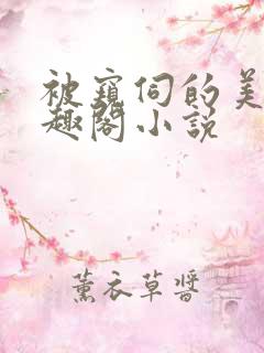 被窥伺的美人笔趣阁小说