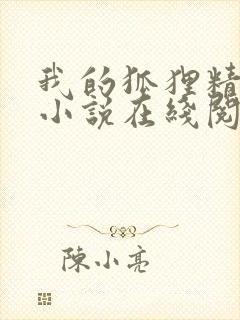 我的狐狸精后妈小说在线阅读