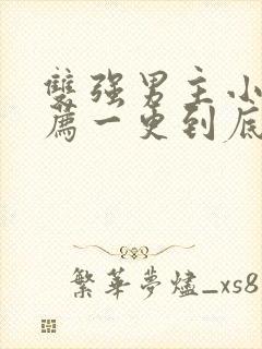 双强男主小说推荐一更到底