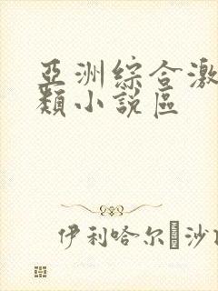 亚洲综合激情另类小说区