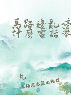 马路边乱停车打什么电话举报