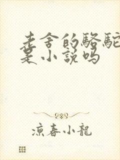 老舍的骆驼祥子是小说吗