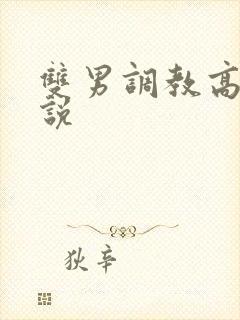双男调教高h小说