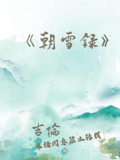 《朝雪录》小说
