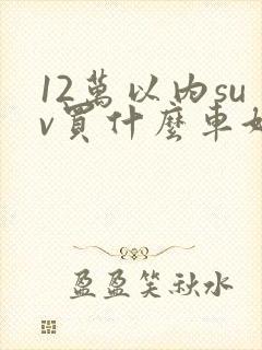 12万以内suv买什么车好