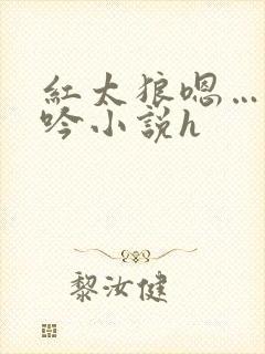 红太狼嗯…啊呻吟小说h