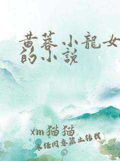 黄蓉小龙女题材的小说 黄蓉小龙女题材的小说