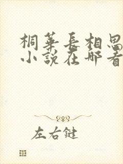 桐华长相思原著小说在哪看