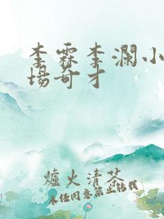 李霖李澜小说官场奇才