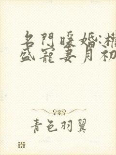 名门暖婚:权爷盛宠妻月初姣姣