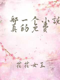 哪一个小说软件真的免费